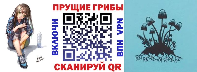 Псилоцибиновые грибы GOLDEN TEACHER Ликино-Дулёво